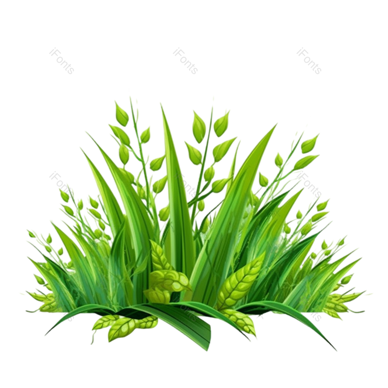 装饰图片,芒种元素,元素PNG,小满免抠素材